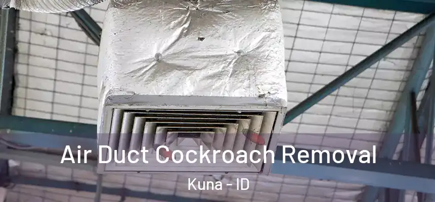  Air Duct Cockroach Removal Kuna - ID