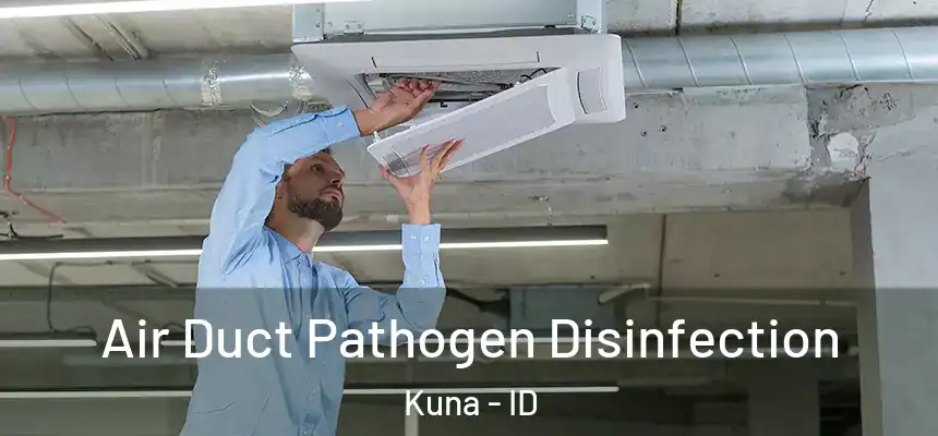  Air Duct Pathogen Disinfection Kuna - ID