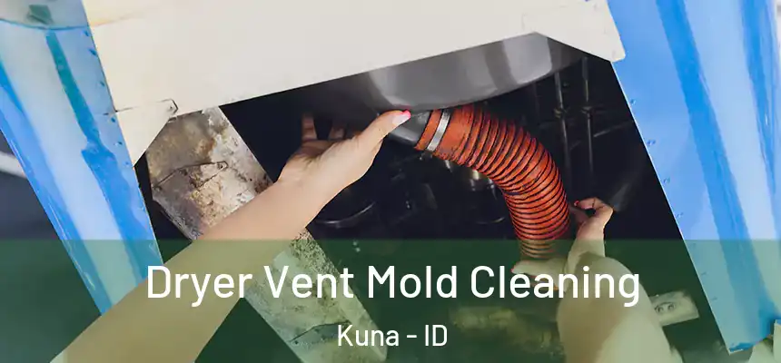 Dryer Vent Mold Cleaning Kuna - ID