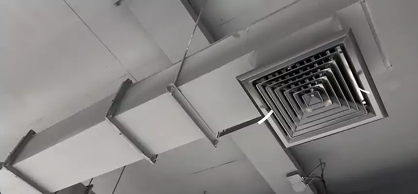 Our Rodent Droppings In Vents Services in Kuna, ID