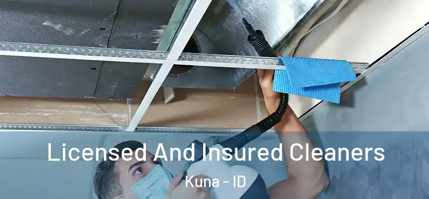  Licensed And Insured Cleaners Kuna - ID