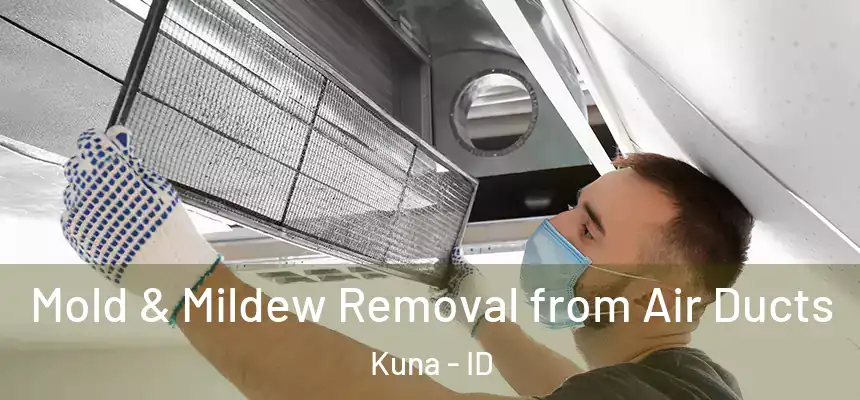  Mold & Mildew Removal from Air Ducts Kuna - ID