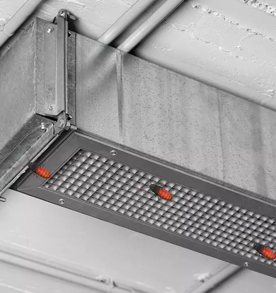 Affordable Insect Removal from Air Ducts in Kuna, ID