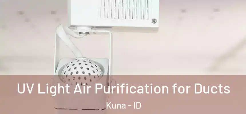  UV Light Air Purification for Ducts Kuna - ID